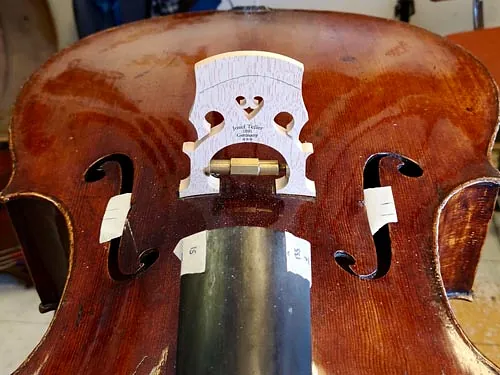 Del av cello